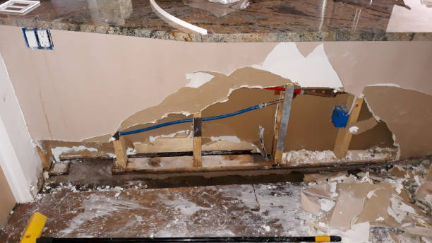 Best Carpet water damage restoration  in Rural Hall, NC